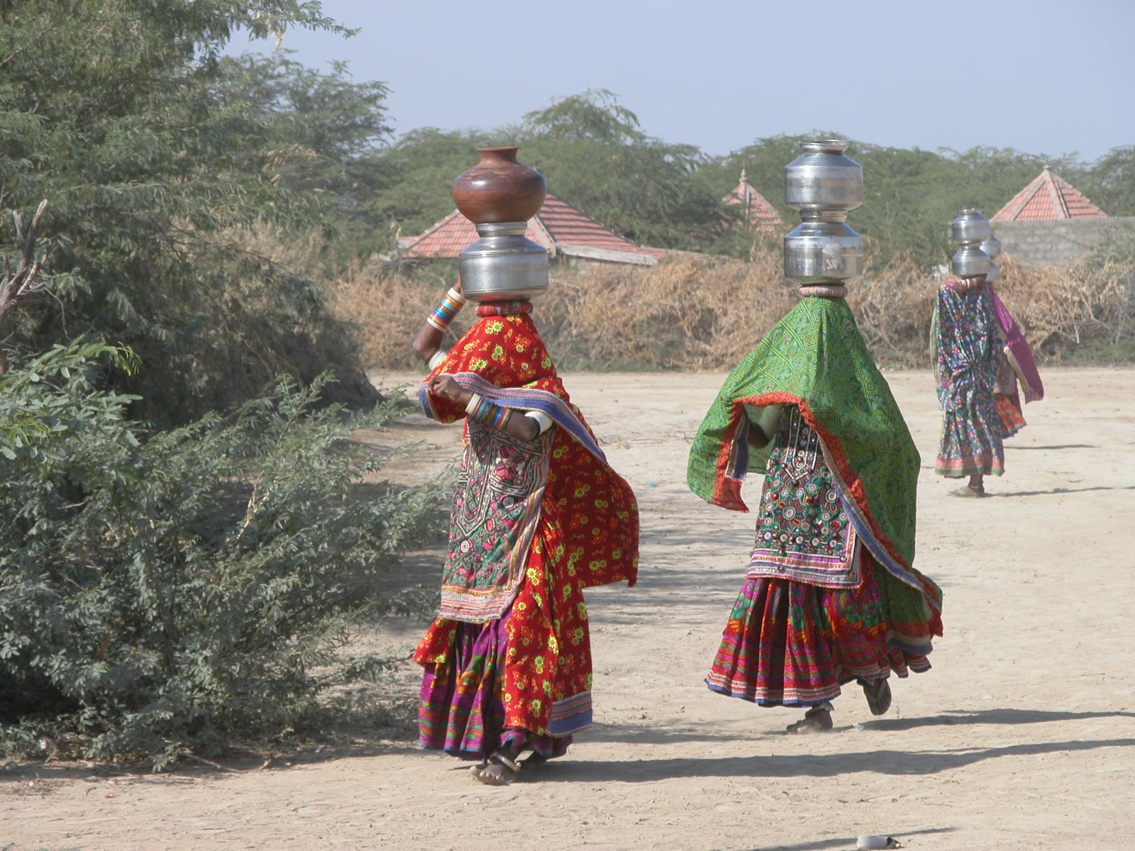 Viaje Tribal de Gujarat